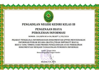 PENGENAAN BIAYA INFORMASI